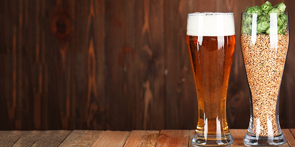 Cerveja protege o cérebro OPA BIER